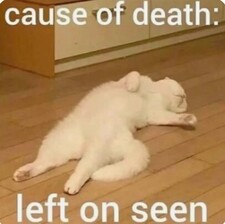 Readergirl (but also Izzy)