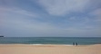 Heather