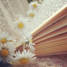 Daisy Love