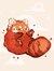 Red Panda