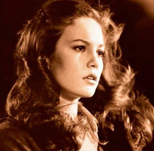 siera 🪷! (the outsider’s vers.)