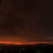 sne