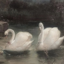 𝒜𝓁𝑒𝓍𝒶𝓃𝒹𝓇𝒶