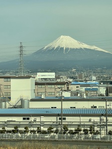 Kenzo 五十子