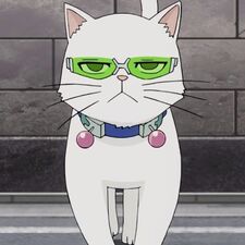 Val ও (no va a completar su reto)