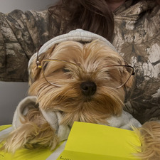 Haylee