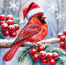 Sophie [it's 2026?!]  Foster