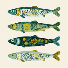 Fish