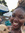 Adeola Marley