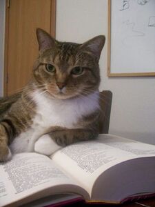 Jeymi ₍ᐢ. .ᐢ₎♡