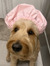 Hailey