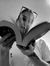 alja_reads