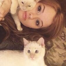 ‎⋆˙⟡ — faun