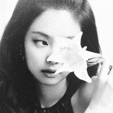 kassy ꕤ*.ﾟ (barely active)