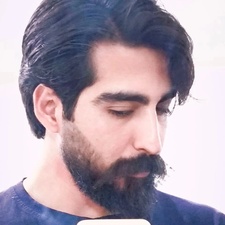 MohammadJavad Talebi