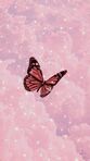 Flor