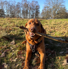 BUFFYTHEVAMPIRESLAYER