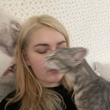 Štěpánka