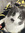 Amy A
