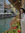 Victoria Cosme
