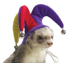 александрія