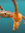 Dan W