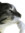 antlerp...