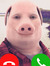 john pork