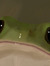 Froggi