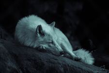 MyWeekendIsBooked7