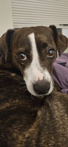 Meg Rayder  Whitaker