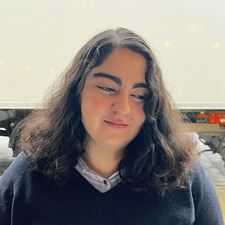 saba harsini
