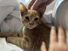 zlata ౨ৎ⋆ ˚｡⋆