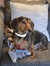 Tracy S...