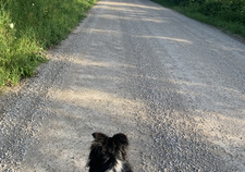 Evalyn T’s library