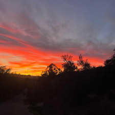 Reader Sofía Hurtado 