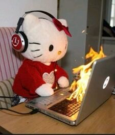 bianqui *‧.₊˚*੭*ˊᵕˋ੭.*