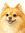 Iappy