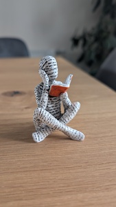 FerryLassReads