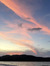 Luisa F...