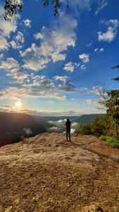 Chandler Shaffernocker