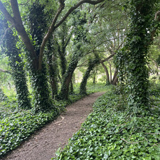 Danielle Chamberlain