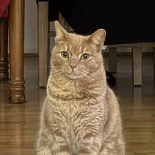 Sandra