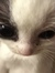 Rahma ིྀ