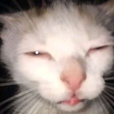 ขอขนมหน่อย