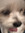 Ashy