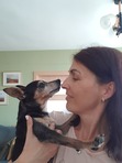 Маya