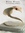 Numbis