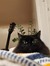 Hanna