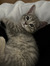Alexand...